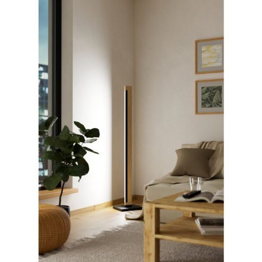 CAMACHO floor light